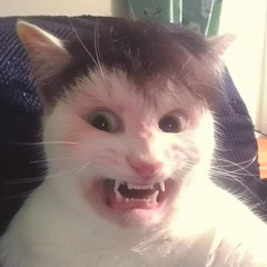 L0nE1Y T0m