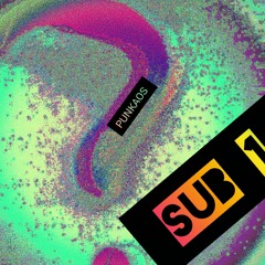 💀 SUB-1 💀