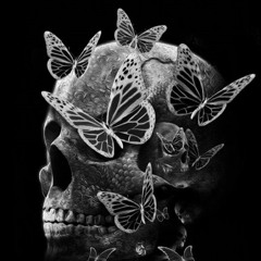 Majd Muhammad Alwaheidi