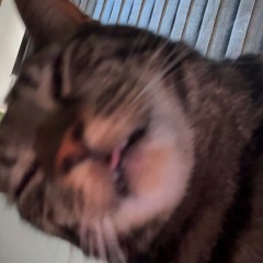 SAJMON%20-%20VENDETTA%20(%20OG.JERZYK).mp3