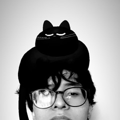 Gato