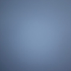 plntvd