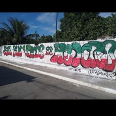 3 campos TCP