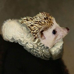 Аливка