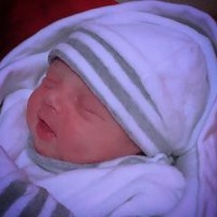 Walid Hmed