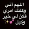 السيد أش أش