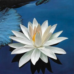 Sagar Jaggia