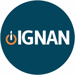 IGNAN Audio Sound System Rental