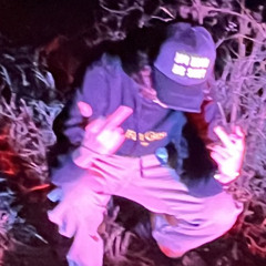 bloom97