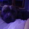 Kaithy