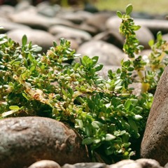 •h3ll0_th3r3_p1ut0•