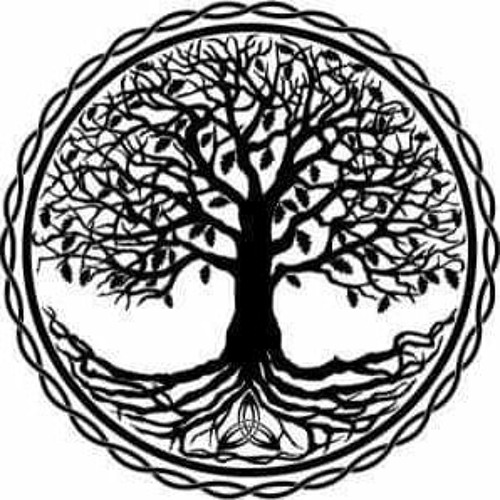 Árvore Da Vida’s avatar