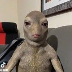 Krulik