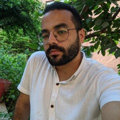 Mahmoud Alaa