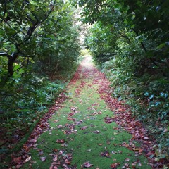 Inalienable Greenbeing