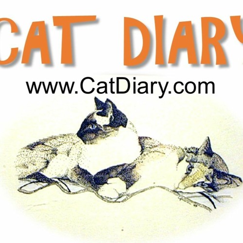 Cat Diary’s avatar
