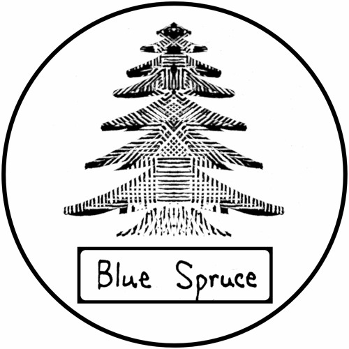 Blue Spruce’s avatar