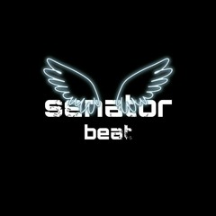 senatorbeatz