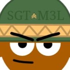 ★🪖 SGT M3L 🪖★