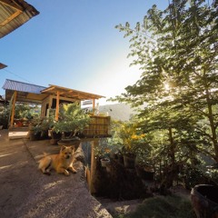 HIDDENside_BALI