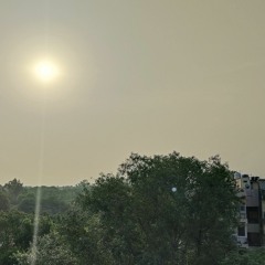 Raman
