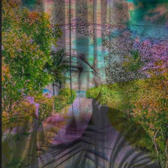ANDRE RiiZiNG