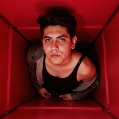 PAVBLO IBARRA