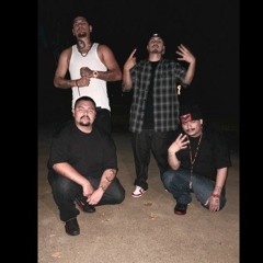 FOOLIE $IXFIFTY