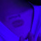 sagrex