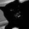 ϟ ϟ hazyyy  🪐🐈‍⬛