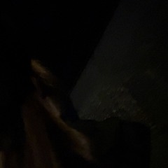 𝑒𝒷𝑜𝓃𝓎.ꨄ