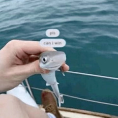 *🦈Sharks🦈*