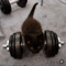 Cat Lowe