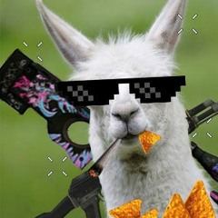 DnBLama