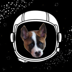 Dogstronautt