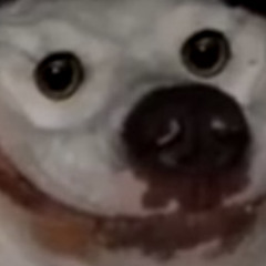 DrizzBruh