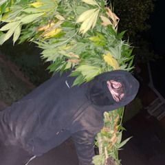 BigLez