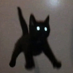 v_v