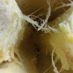 shroomee