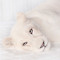 Razan