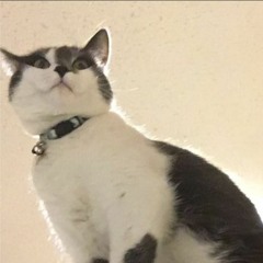 JVCKLVSON