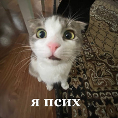 ВСЕМ ПРИВЕТ ЭТО 🦍