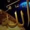 Lala Portsaid