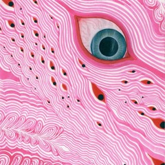 HoomanAlien