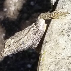 stickky