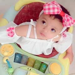 amir
