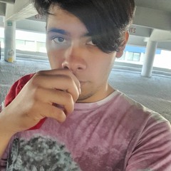 Fabian Beatboxing