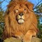 mostafa mohamed 549