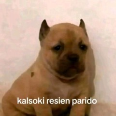 Leoooo