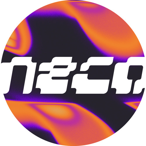 necoteen — artist photo